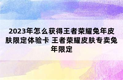 2023年怎么获得王者荣耀兔年皮肤限定体验卡 王者荣耀皮肤专卖兔年限定